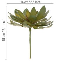 Artículo Suculenta artificial como planta decorativa, verde, 18 cm, 3 unidades