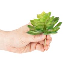 Artículo Planta suculenta artificial, verde, para decoración en cuenco o jarrón, 10 cm, 4 unidades.