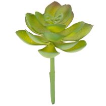 Artículo Planta suculenta verde artificial como decoración para arreglos creativos.