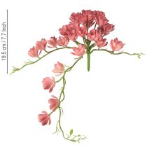 Artículo Suculenta artificial 28 rosetas Aeonium rosa viejo 43cm