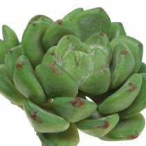Artículo Suculenta Echeveria verde artificial H15cm