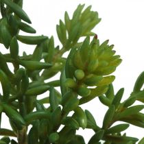 Suculenta planta verde artificial para pegar 25cm verde 2uds