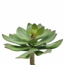 Suculenta artificial verde 27cm