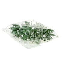 Artículo Echeveria Suculenta Ø6.5cm L11cm 6uds