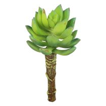 Artículo Planta Verde Artificial Echeveria Suculenta Verde Ø5,5cm 12,5cm