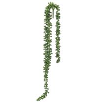 Artículo Guirnalda colgante de plantas artificiales con suculentas para decorar la sala de estar.