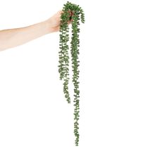 Artículo Guirnalda colgante de plantas artificiales con suculentas para decorar la sala de estar.