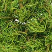 Artículo Fibra de Tamarindo Fibra Natural Verde Claro para Manualidades y Decoración 500g