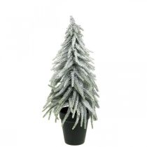 Abeto decorativo con nieve, decoración de adviento, abeto en maceta Al. 37 cm