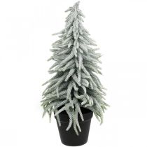 Abeto de invierno en maceta, decoración navideña, abeto con nieve Al 45cm