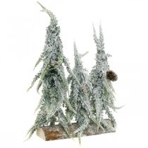 Abetos con nieve, decoración de Adviento, bosque de invierno L16.5cm H28cm
