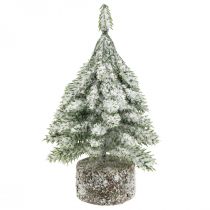 Abeto con nieve, decoración navideña, abeto decorativo H14cm