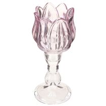 Artículo Portavelas de cristal con forma de tulipán, color morado, diámetro 7 cm, altura 16 cm, 2 unidades
