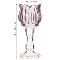 Artículo Portavelas de cristal con forma de tulipán, color morado, diámetro 7 cm, altura 16 cm, 2 unidades