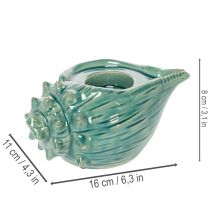 Artículo Portavelas decorativo con forma de concha marina para mesa, baño, salón, 16 cm