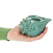 Artículo Portavelas decorativo con forma de concha marina para mesa, baño, salón, 16 cm