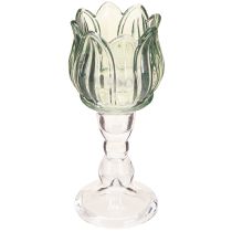 Artículo Portavelas de cristal tulipán verde Ø7cm H16cm 2uds