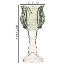 Artículo Portavelas de cristal tulipán verde Ø7cm H16cm 2uds
