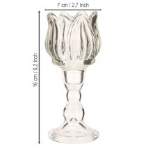 Artículo Portavelas de tulipán de cristal con base transparente Ø7cm H16cm 2uds