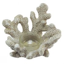 Artículo Portavelas decoración coral gris marítimo Ø12cm H8cm