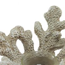 Artículo Portavelas decoración coral gris marítimo Ø12cm H8cm