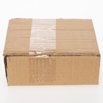 Artículo Platos redondos de cerámica con motivo de kiwi, aptos para mesa de comedor o cocina, 16 cm, 2 piezas