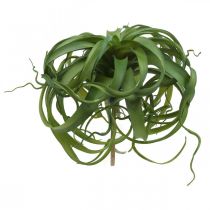 Artículo Tillandsia Planta verde artificial para pegar Verde Grande Ø40cm