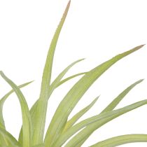 Artículo Plantas Artificiales Tillandsia Verde con Palo Ø17cm 3uds