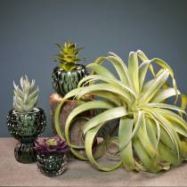 Tillandsia artificial para pegar planta artificial verde claro 30cm