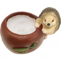 Artículo Jardinera, manzana con erizo, decoración de otoño, macetero, cerámica Ø16cm H22cm W33cm
