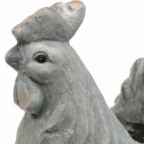 Pollo para plantar, decoración de Pascua, maceta, primavera, pollo decorativo aspecto cemento H30cm