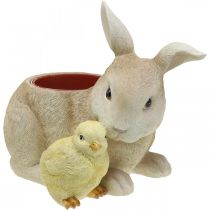 Decoración de Pascua para plantar, conejo y pollito, primavera, macetero H24cm L30cm