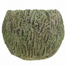 Artículo Jardinera hormigón aspecto envejecido verde, jardinera marrón Ø13cm