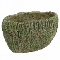 Artículo Macetero hormigón ovalado aspecto envejecido verde marrón 24×14×13cm