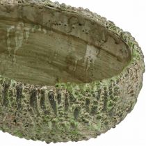 Artículo Macetero hormigón ovalado aspecto envejecido verde marrón 24×14×13cm