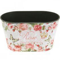 Artículo Maceta con rosas, recipiente decorativo, bandeja para flores 21,5 cm / 18,5 cm, juego de 2