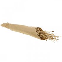 Artículo Flores secas cápsulas de semillas de amapola secas naturales decoración seca salvaje manojo 100g