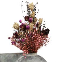 Artículo Flores secas trébol morado flores de paja lino eneldo 35cm 150g