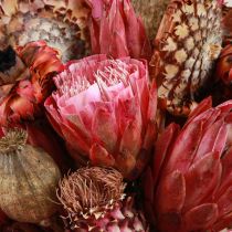 Artículo Mezcla de flores secas protea rosa amapola alcachofa 38cm 580g