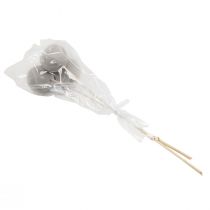 Artículo Campanas decorativas de flores secas con tallo gris 37cm 3 piezas