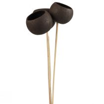 Artículo Campanas decorativas de flores secas con tallo negro 44cm 3 piezas