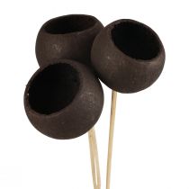 Artículo Campanas decorativas de flores secas con tallo negro 44cm 3 piezas