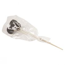 Artículo Campanas decorativas de flores secas con tallo negro 44cm 3 piezas