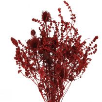 Artículo Ramo de flores secas decoración de cardo rojo vino 40cm 80g