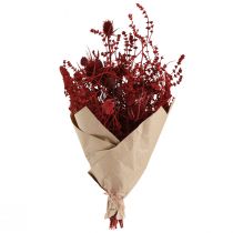 Artículo Ramo de flores secas, rojo vino, cardo decorativo, 40 cm, 80 g