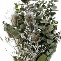 Ramo de flores secas eucalipto ramo de cardos 45-55cm 100g