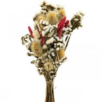 Ramo de flores secas Flores de paja Ramo de cardo 40–45cm