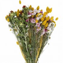 Artículo Ramo de flores secas Ramo de flores secas Ramo de flores de pradera 58cm