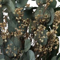 Artículo Ramo de flores secas eucalipto gypsophila preservado 50cm verde