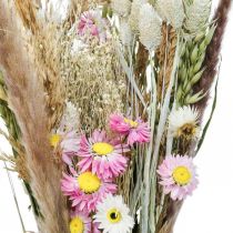 Ramo de flores secas hierba Phalaris flores de paja rosa 60cm 110g